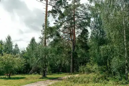 Межгорье - 70