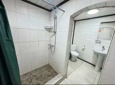 Кактус Арт - 85