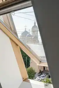 Абрикосовое дерево на Петроградской стороне - 74