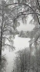 Троицкий - 60