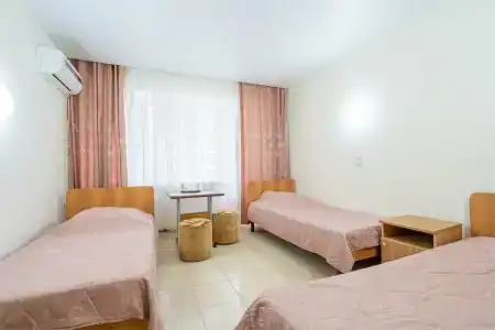 Энергетик - 96