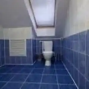 Добрый финн - 52