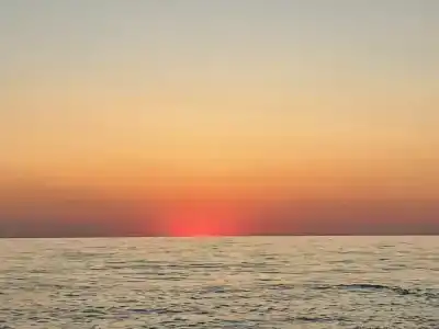 База отдыха у Петровича - 116