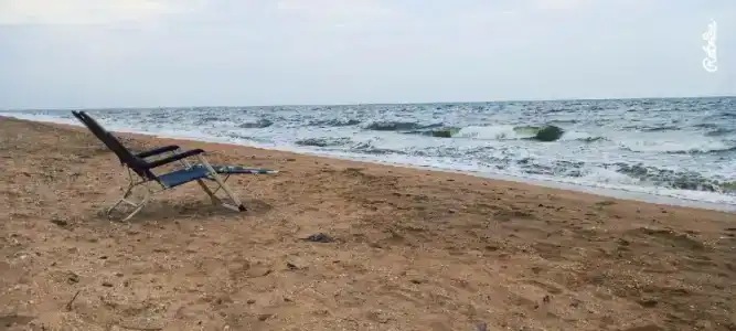 База отдыха у Петровича - 91