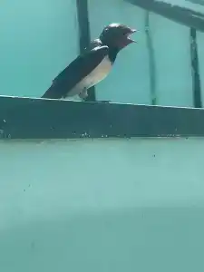 База отдыха у Петровича - 110