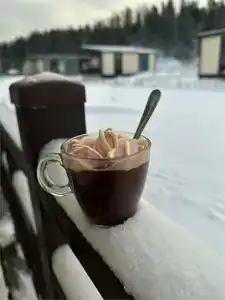 Логи - 56