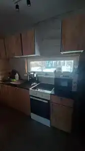 Брусника - 11