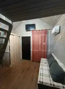 Пальма - 22