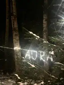 Аура - 43