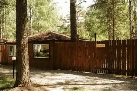 Лесотерапия - 121