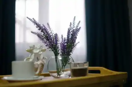 Власовых - 58