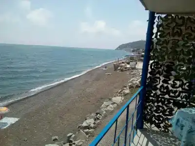 Эллинг Ноги в море - 77