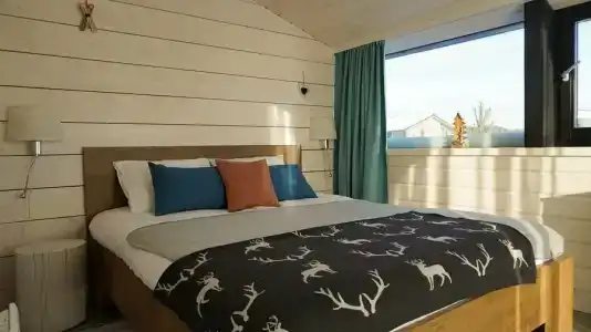 Дубльдом - 580