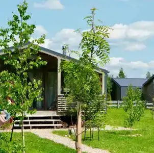 Дубльдом - 590