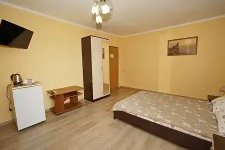 Пальмира - 73