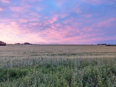 Кибольские соловьи - 82