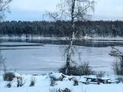 Вуокса парк - 59