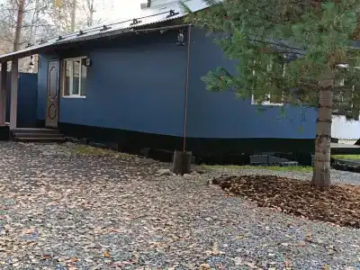 Лесорёк - 7