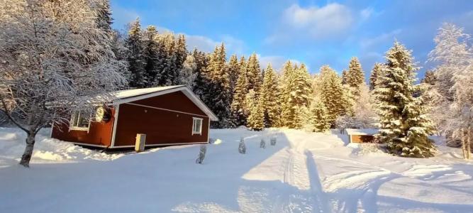 Хуторок у Сан Саныча - 100