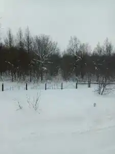 Вишневая поляна - 58
