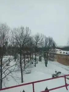 Вишневая поляна - 91