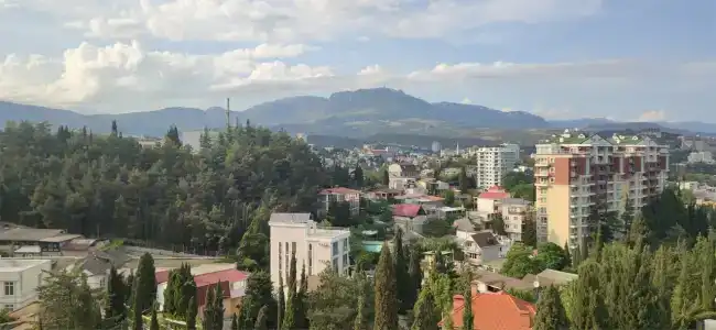 Кипрессо - 80