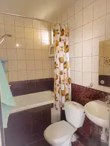 Гостевой дом у Друзей - 99