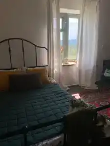 Живой дом - 41