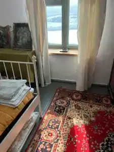 Живой дом - 12