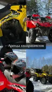 Глэмпинг Лесник в сосновом лесу - 55