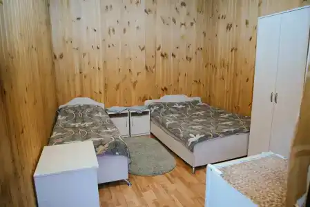 Ван - 67