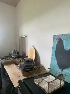 Живой дом - 50