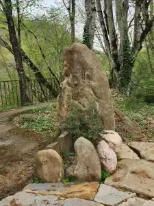 Шелест леса - 34