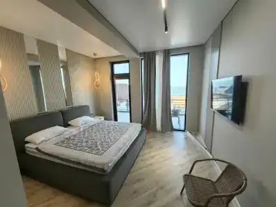 Павлония - 56