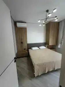 Павлония - 65