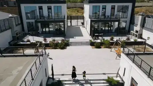 Павлония - 50