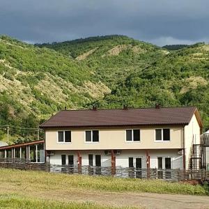 Зеленогорье - 117