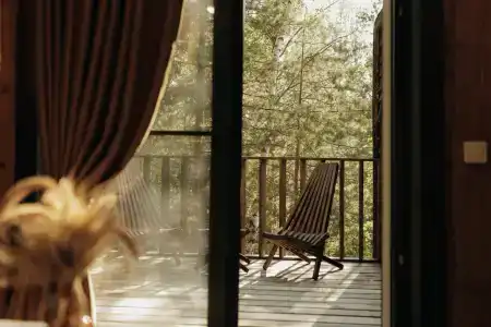 Магия леса - 147