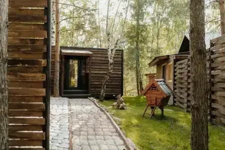 Магия леса - 129