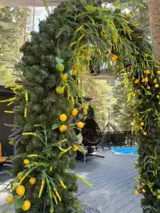 Magic Forest - 70
