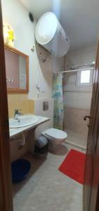 Зеленогорье - 167