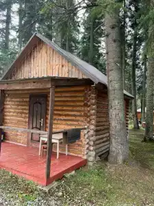 Лесная сказка - 54
