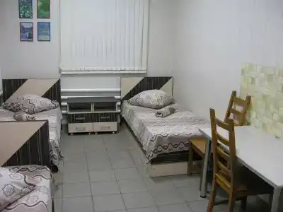 Гепард - 29