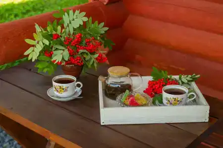 Карельская рябина - 66