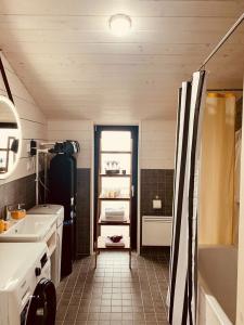 Дубльдом - 293