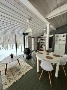 Дубльдом - 381