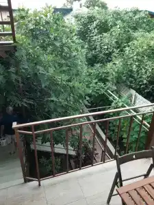 Тайм Аут - 40