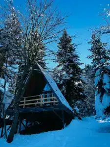 Счастливый лось - 75
