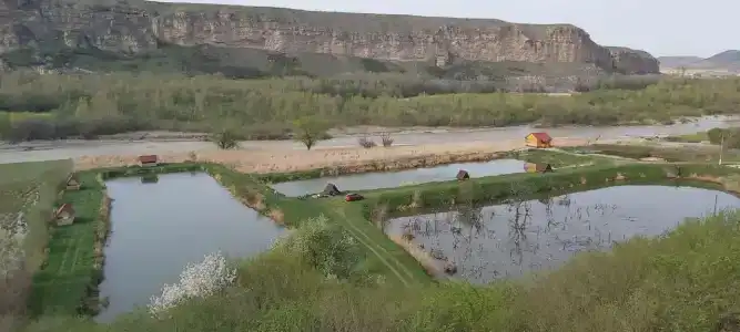 Клёвое Место 09 - 52