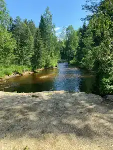Кокуй - 50